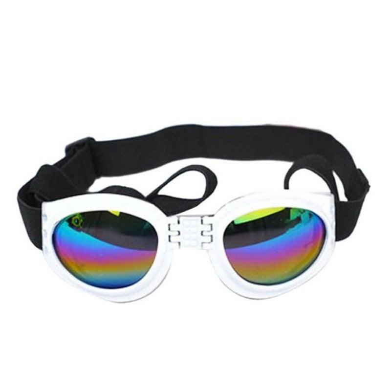 Foldable Aquashield Dog Sunglasses